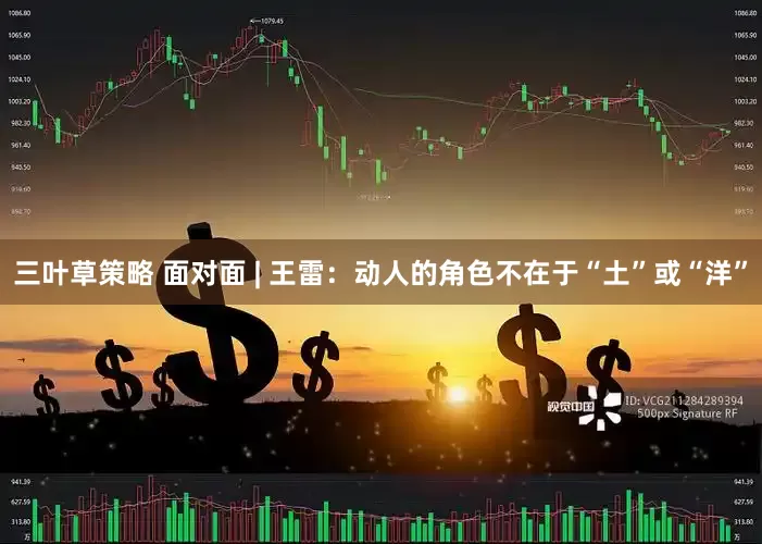 三叶草策略 面对面 | 王雷：动人的角色不在于“土”或“洋”