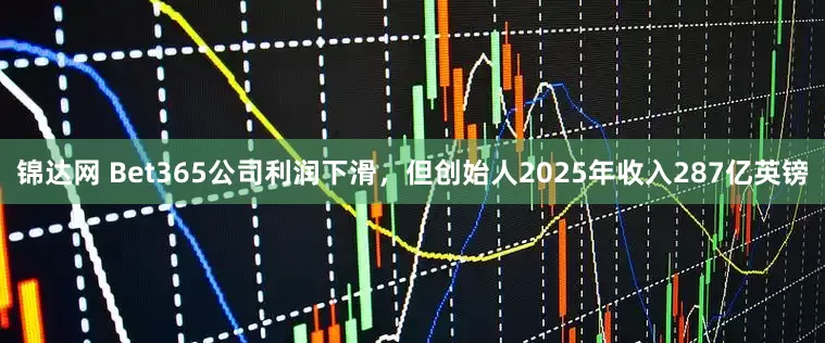 锦达网 Bet365公司利润下滑，但创始人2025年收入287亿英镑